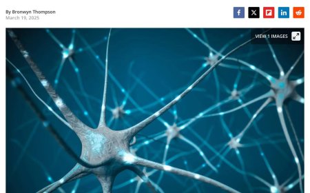 Descoperire revoluționară: Un nou medicament poate permite recuperarea completă după un accident vascular cerebral