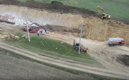 Imagini din dronă surprind înhumarea zecilor de mii de porci de la cea mai mare fermă din Moldova, din Roșcani