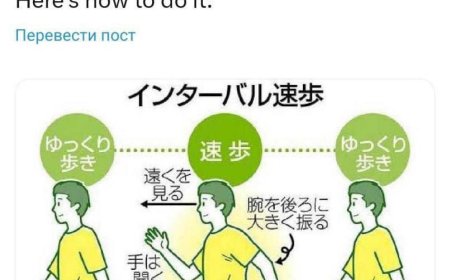 Metoda revoluționară de mers din Japonia: Cercetătorii au dezvoltat o tehnică inovatoare de mers care este de două ori mai eficientă decât „metoda celor 10.000 de pași”